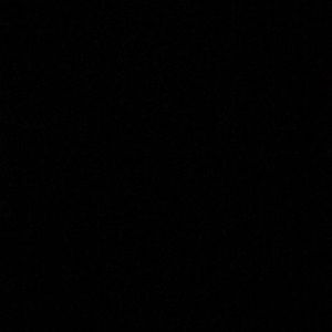 Meet your Posher, Renée